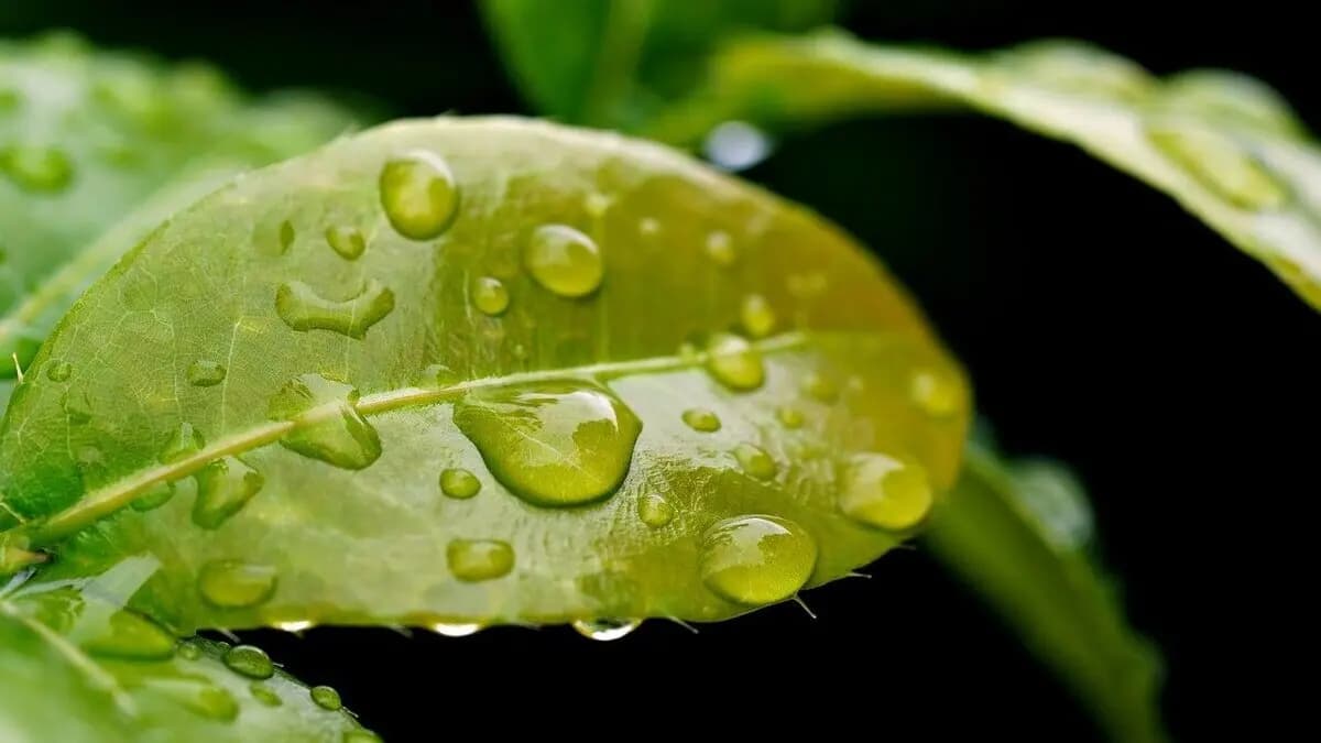 o_futuro_das_profissoes_em_ciencias_da_natureza
