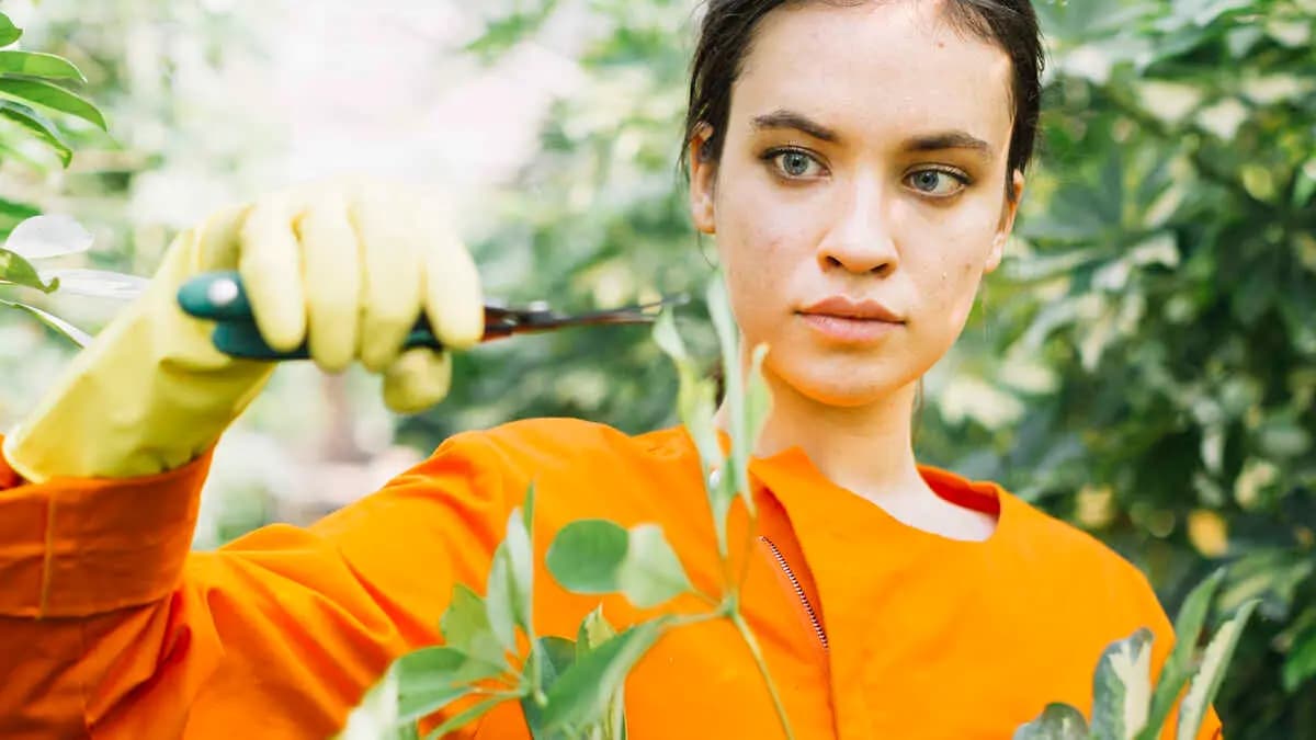 Profissões em Ciências da Natureza: As Oportunidades de uma Área Fascinante