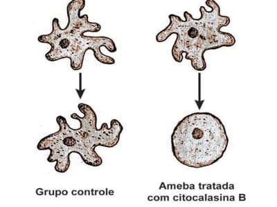 enem-natureza01.jpg